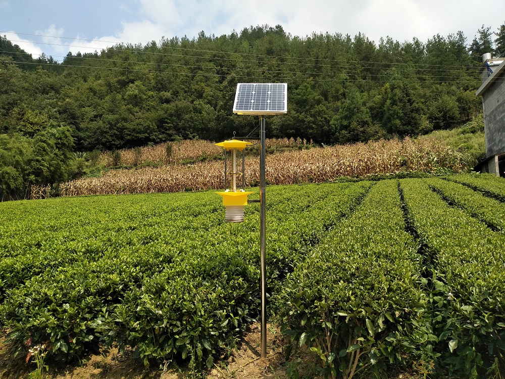 太阳能自动清虫杀虫灯减少农田虫害困扰