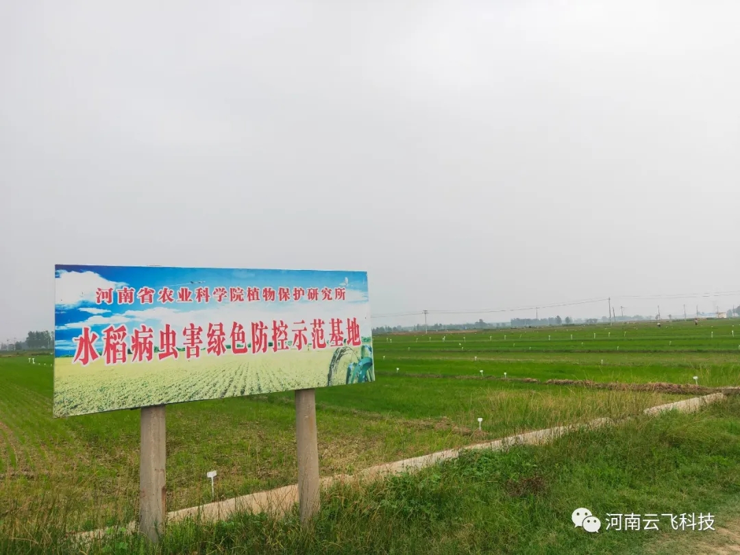 万向注册太阳能杀虫灯走进深圳省农科院水稻基地