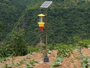 太阳能杀虫灯图片