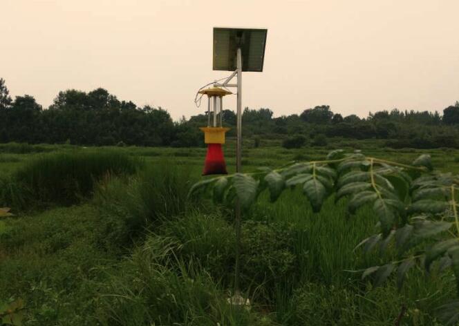 万向注册太阳能杀虫灯保护南阳小麦不再遭受害虫侵扰