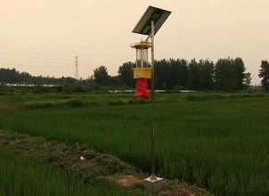 正阳水稻基地引进40台万向注册牌太阳能杀虫灯