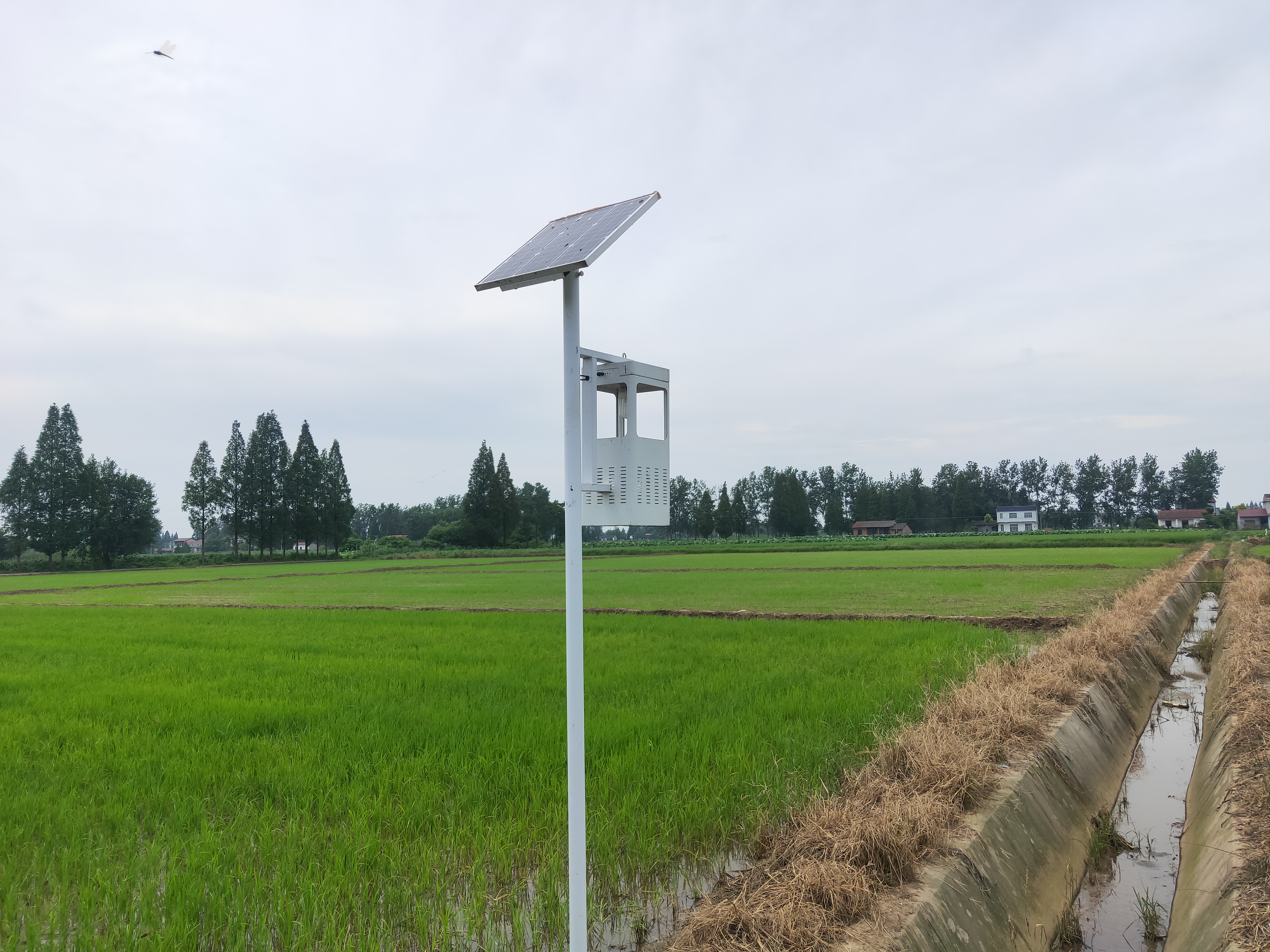 万向注册风吸式太阳能杀虫灯