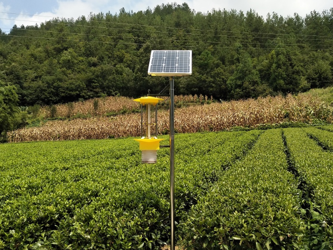 自动清虫太阳能杀虫灯实现更高效种植