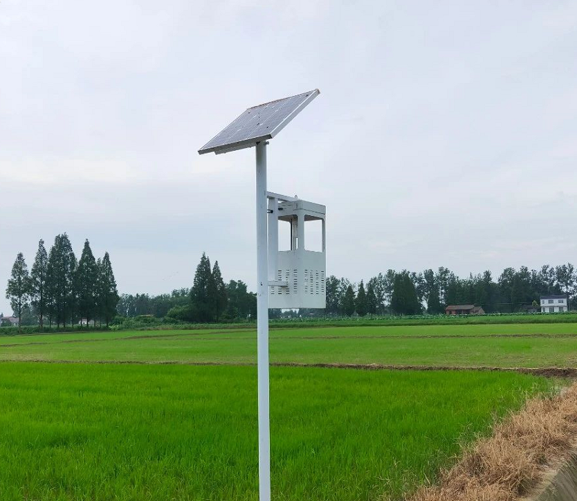 太阳能风吸式杀虫灯提升粮食领域虫害防治